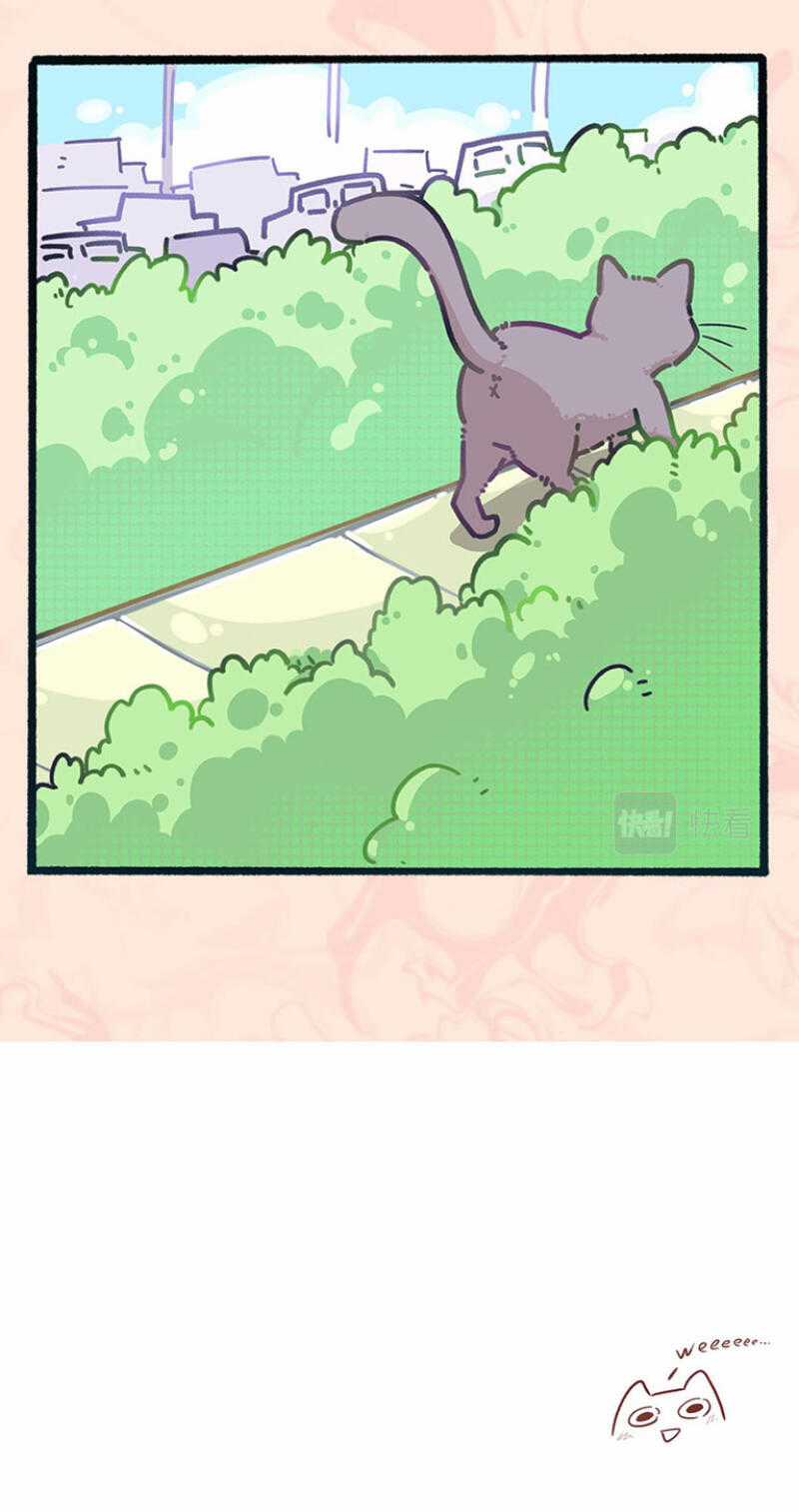 Ngũ Miêu Chapter 0 trang 2