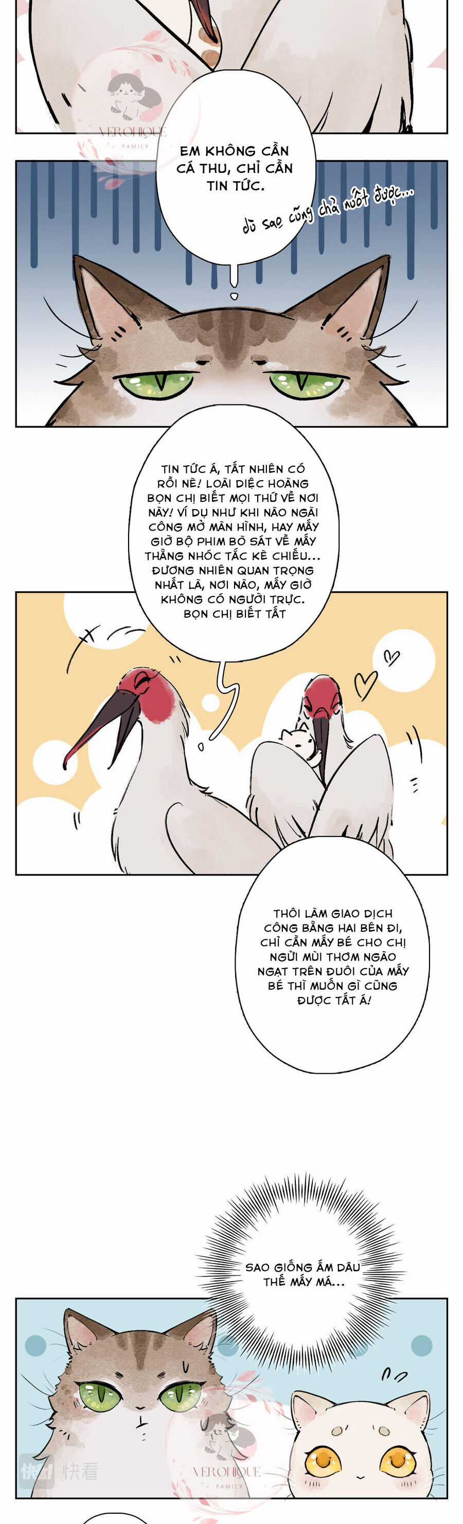 Ngũ Miêu Chapter 25 trang 13