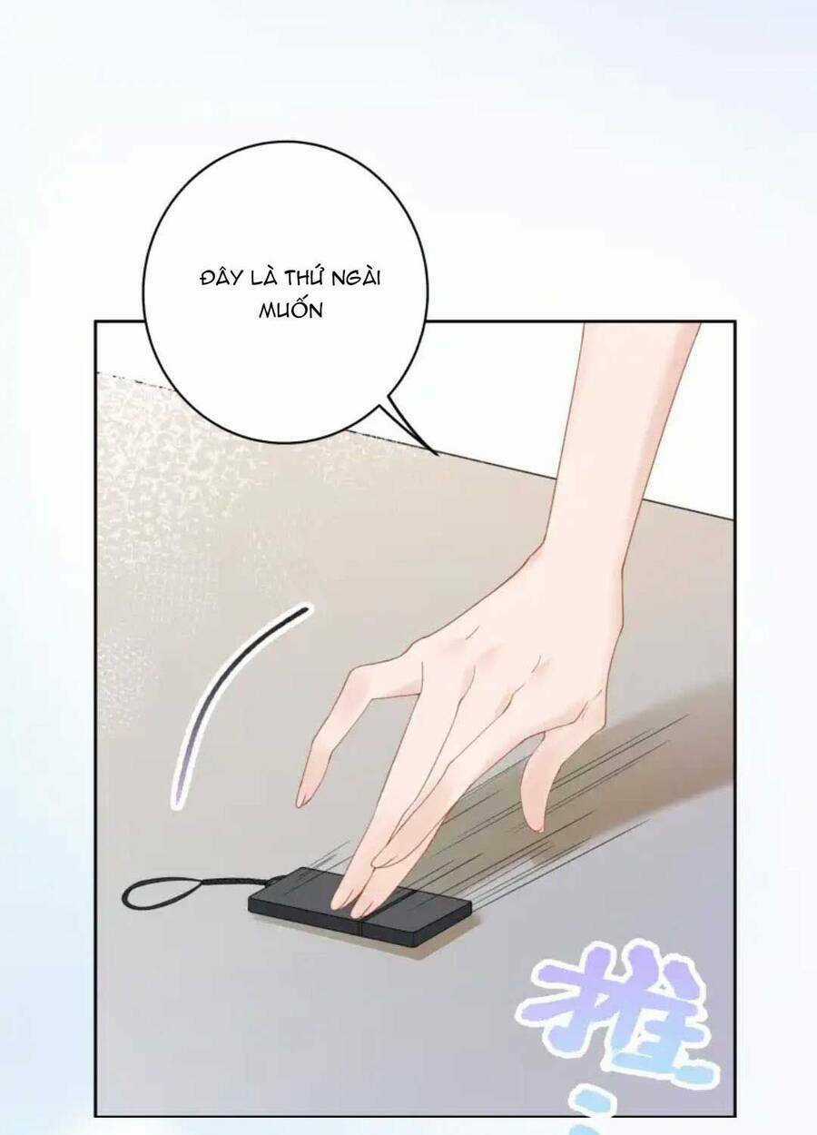Ngược Đãi Mẹ Kế Chapter 12 trang 2