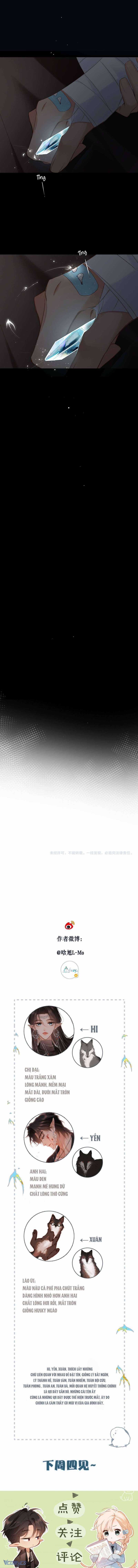 Ngược Dòng Mùa Xuân Chapter 2 trang 6