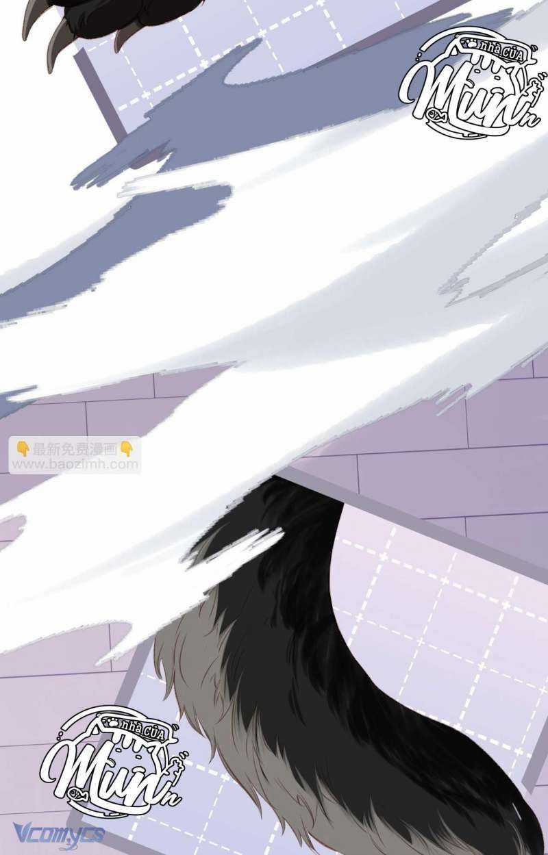 Ngược Dòng Mùa Xuân Chapter 5 trang 26