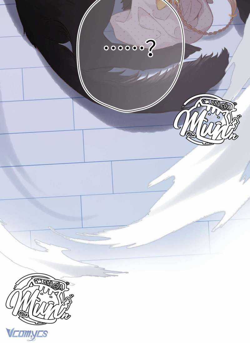 Ngược Dòng Mùa Xuân Chapter 5 trang 28