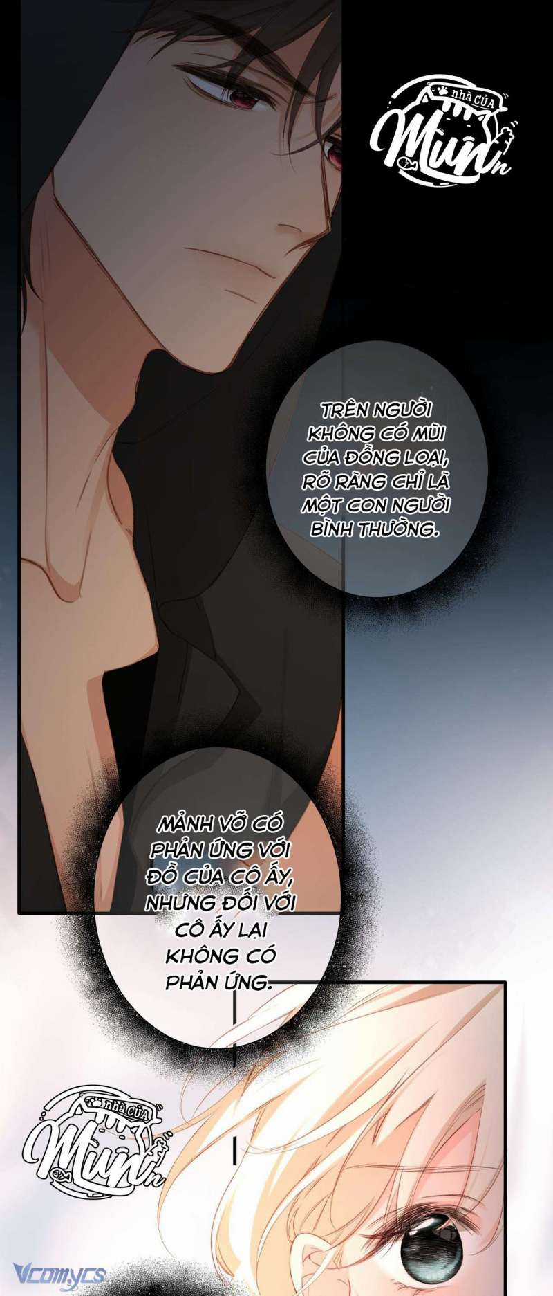 Ngược Dòng Mùa Xuân Chapter 5 trang 34