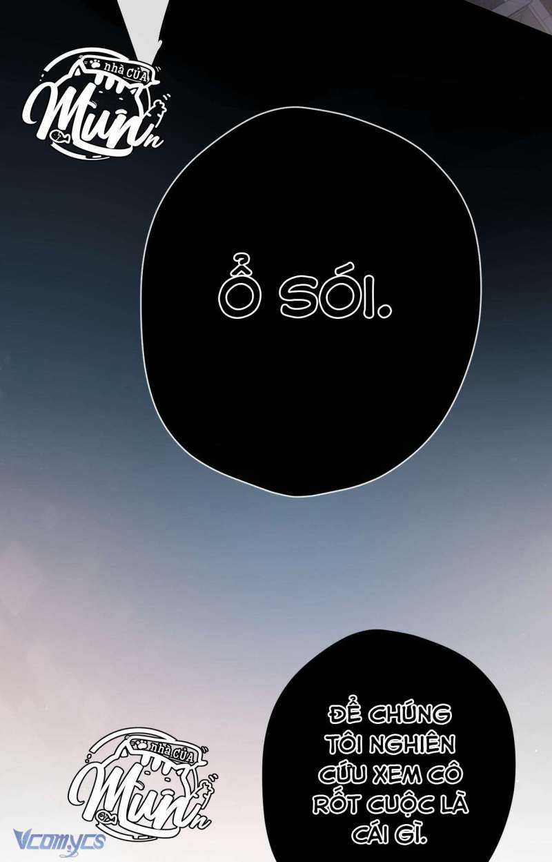 Ngược Dòng Mùa Xuân Chapter 5 trang 38