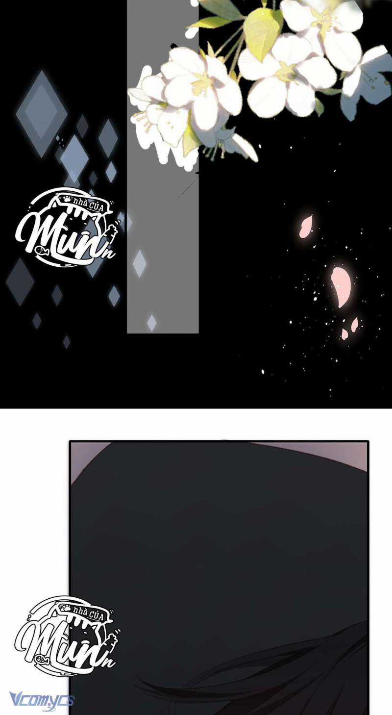 Ngược Dòng Mùa Xuân Chapter 5 trang 7