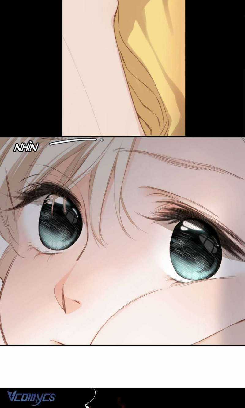 Ngược Dòng Mùa Xuân Chapter 8 trang 12