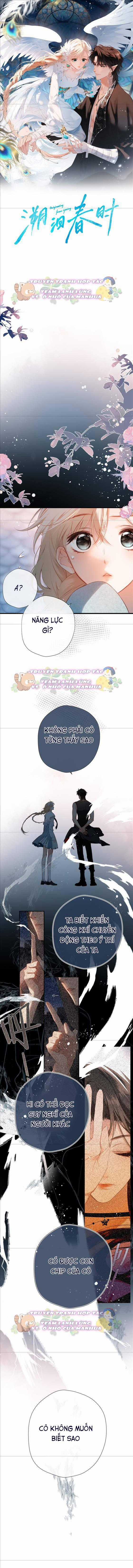 Ngược Dòng Về Mùa Xuân Chapter 13 trang 0
