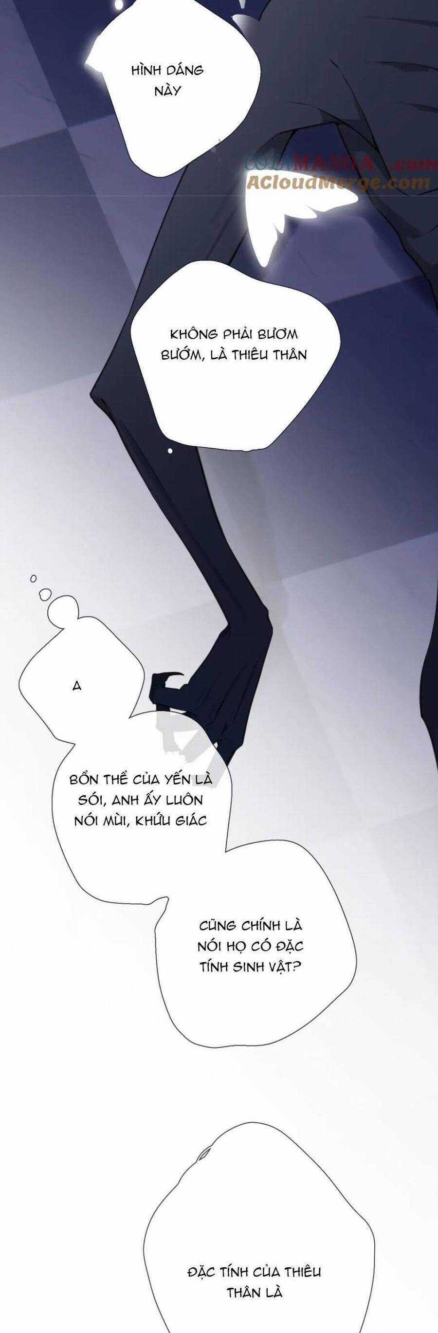 Ngược Dòng Về Mùa Xuân Chương 21 trang 13