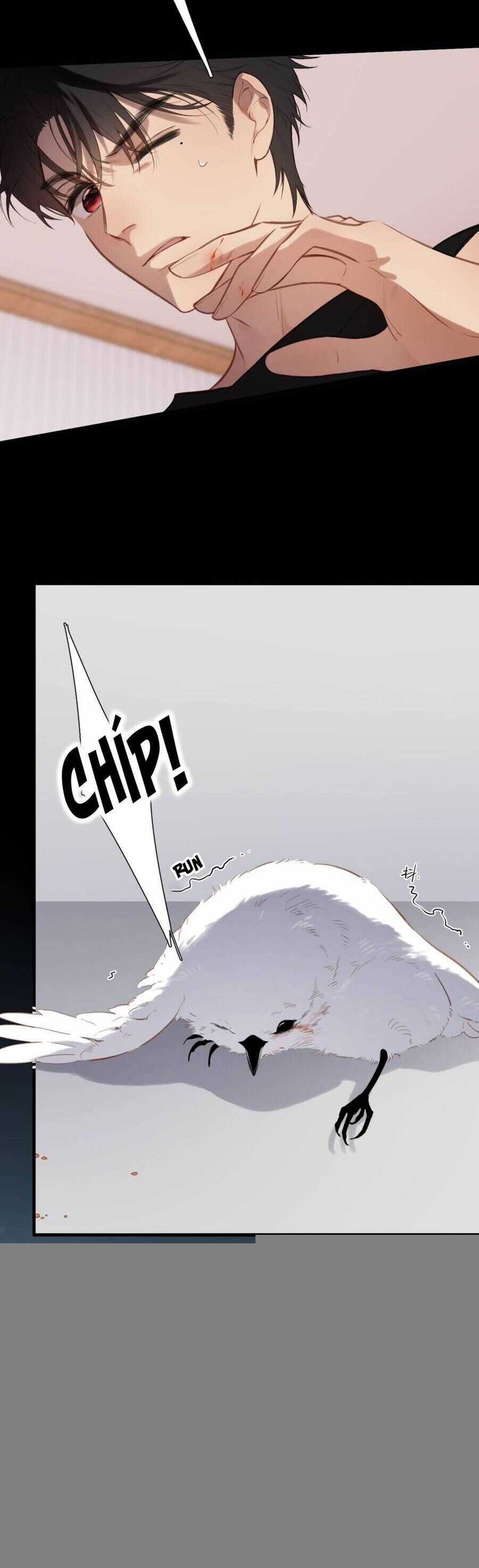 Ngược Dòng Về Mùa Xuân Chương 34 trang 16