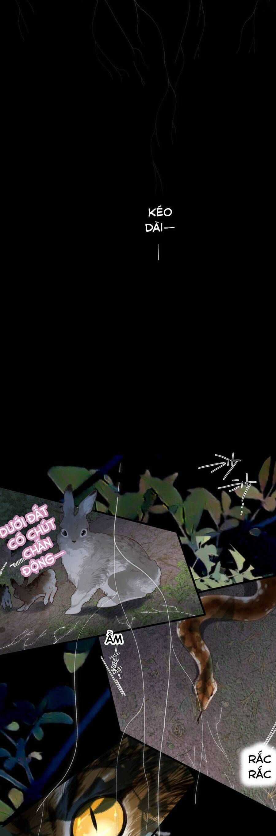 Ngược Dòng Về Mùa Xuân Chương 37 trang 14