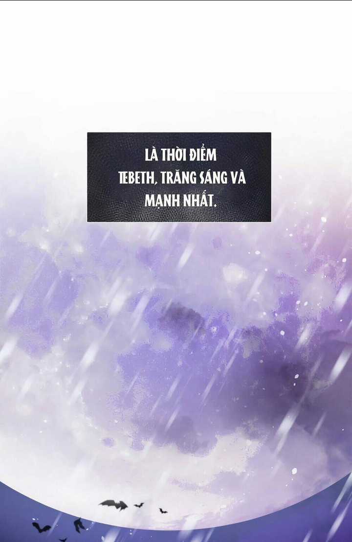 Người Bảo Hộ Của Bạo Quân Là Ma Nữ Tàn Độc Chapter 11 trang 31