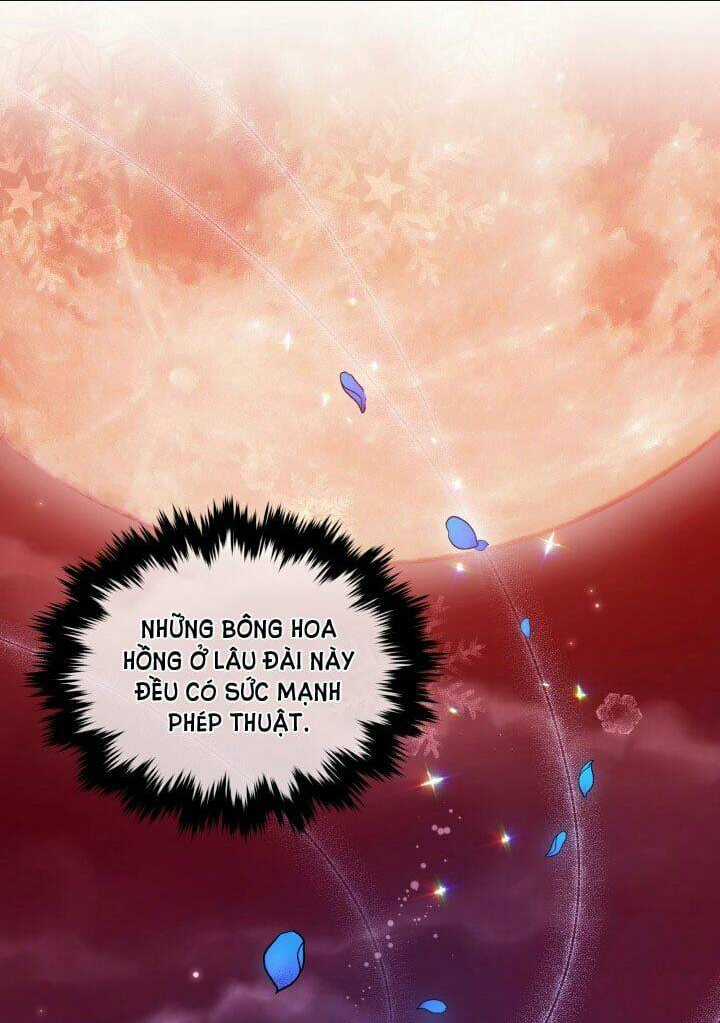 Người Bảo Hộ Của Bạo Quân Là Ma Nữ Tàn Độc Chapter 14 trang 19