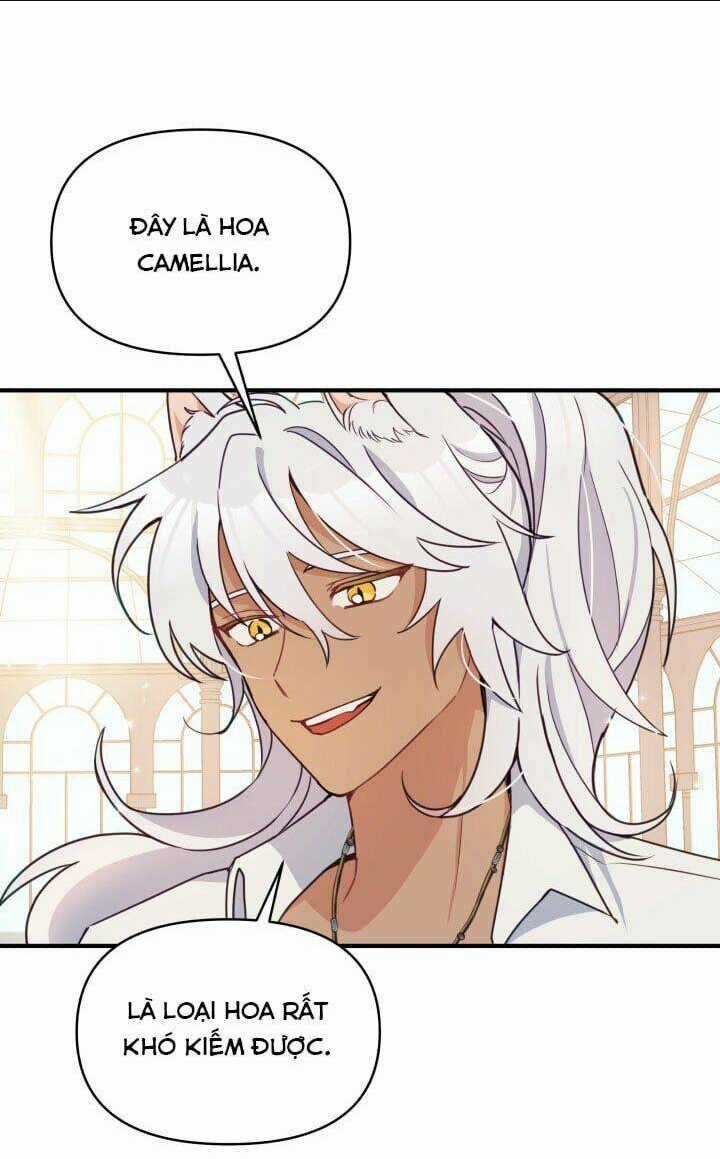 Người Bảo Hộ Của Bạo Quân Là Ma Nữ Tàn Độc Chapter 15 trang 36