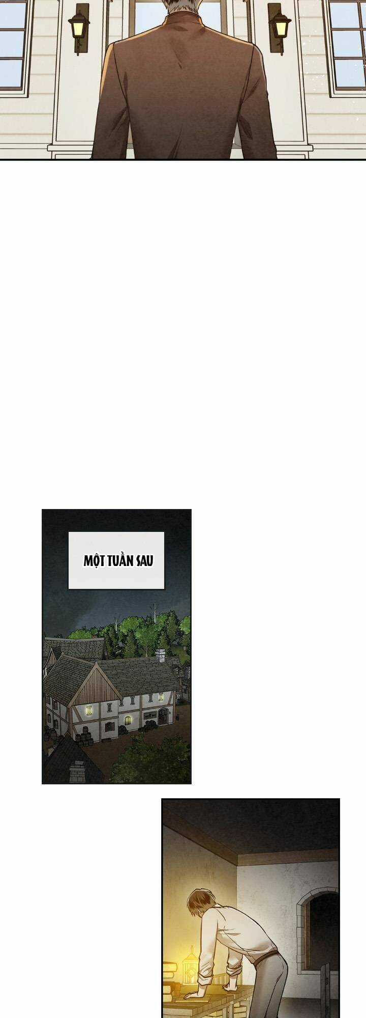 Người Chơi Hồi Quy Chapter 20 trang 13