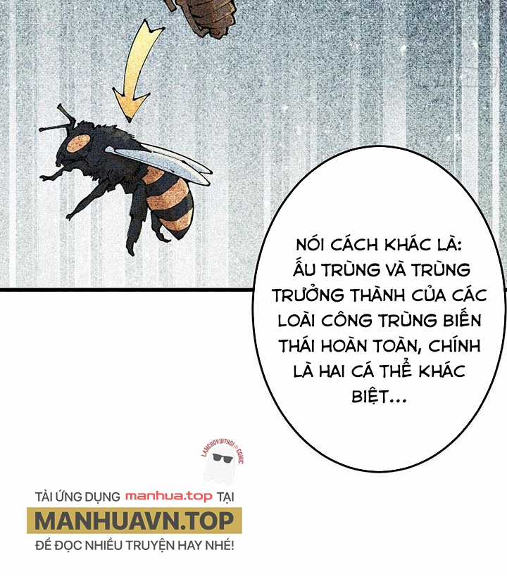 người chơi hung mãnh Chapter 93 trang 11