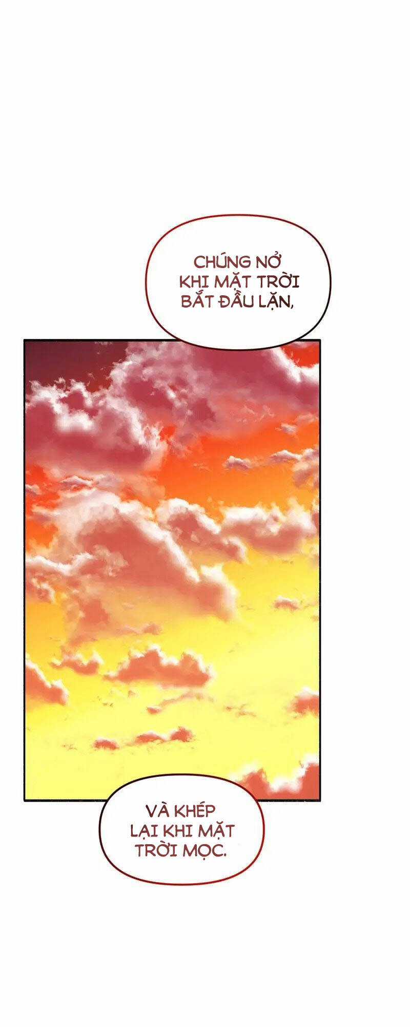 Người Chồng Thiên Thần Của Tôi Thật Ra Là Ác Quỷ Chapter 3.2 trang 5