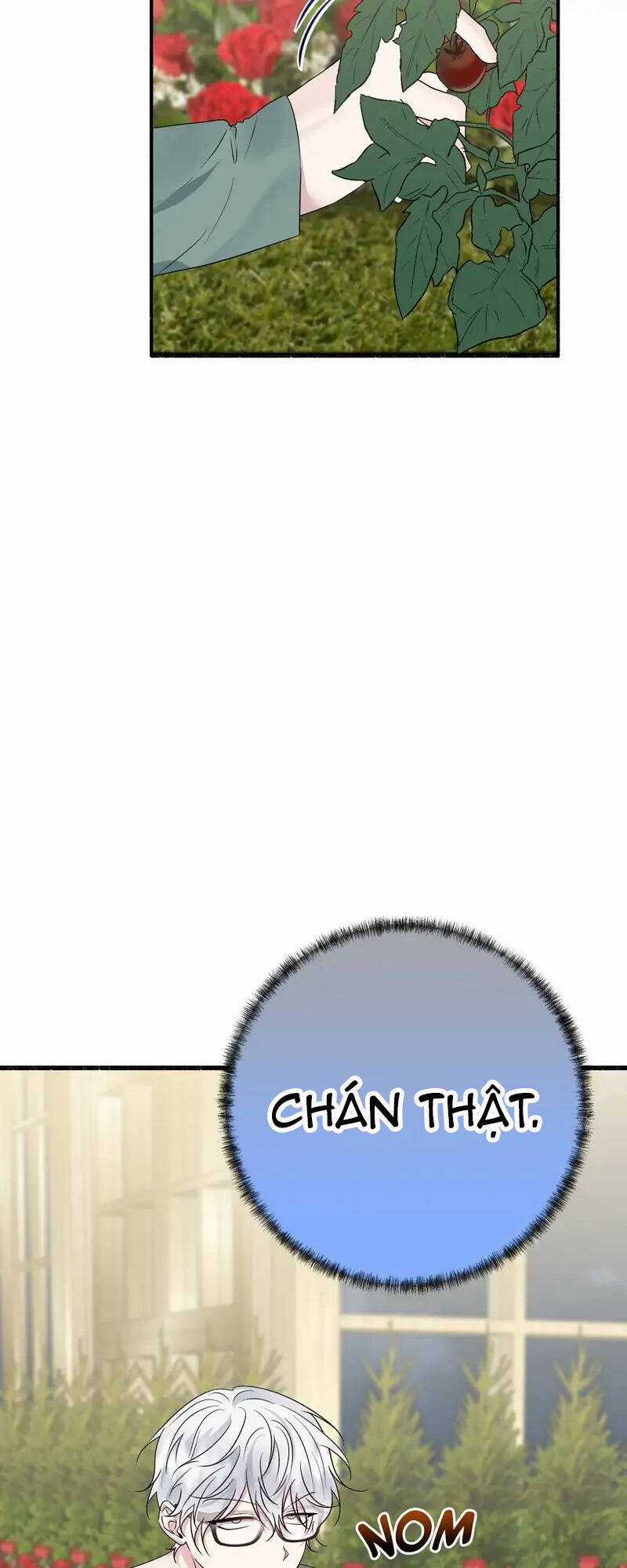 Người Chồng Thiên Thần Của Tôi Thật Ra Là Ác Quỷ Chapter 32.1 trang 12