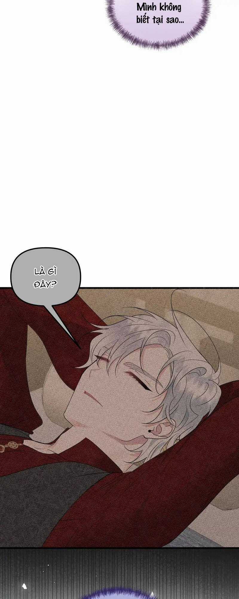 Người Chồng Thiên Thần Của Tôi Thật Ra Là Ác Quỷ Chapter 38.2 trang 19