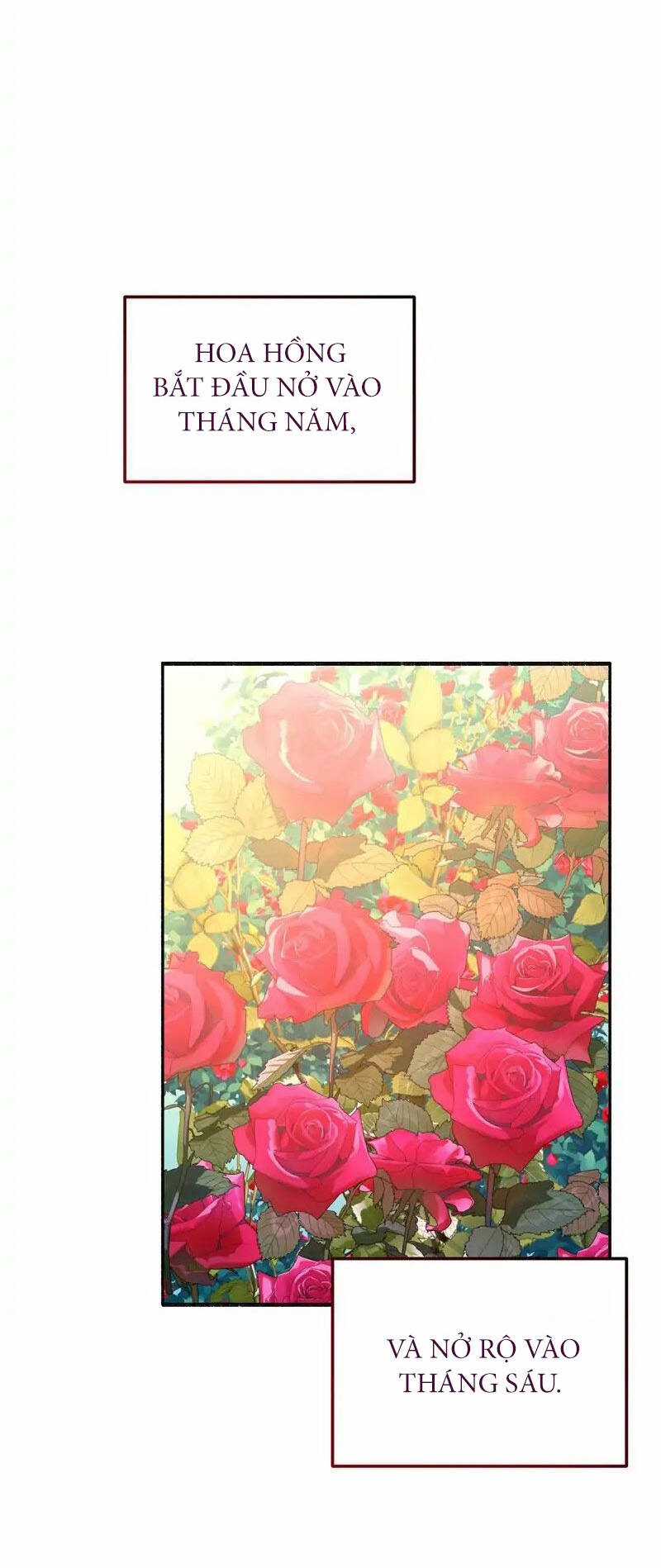 Người Chồng Thiên Thần Của Tôi Thật Ra Là Ác Quỷ Chapter 4.1 trang 33