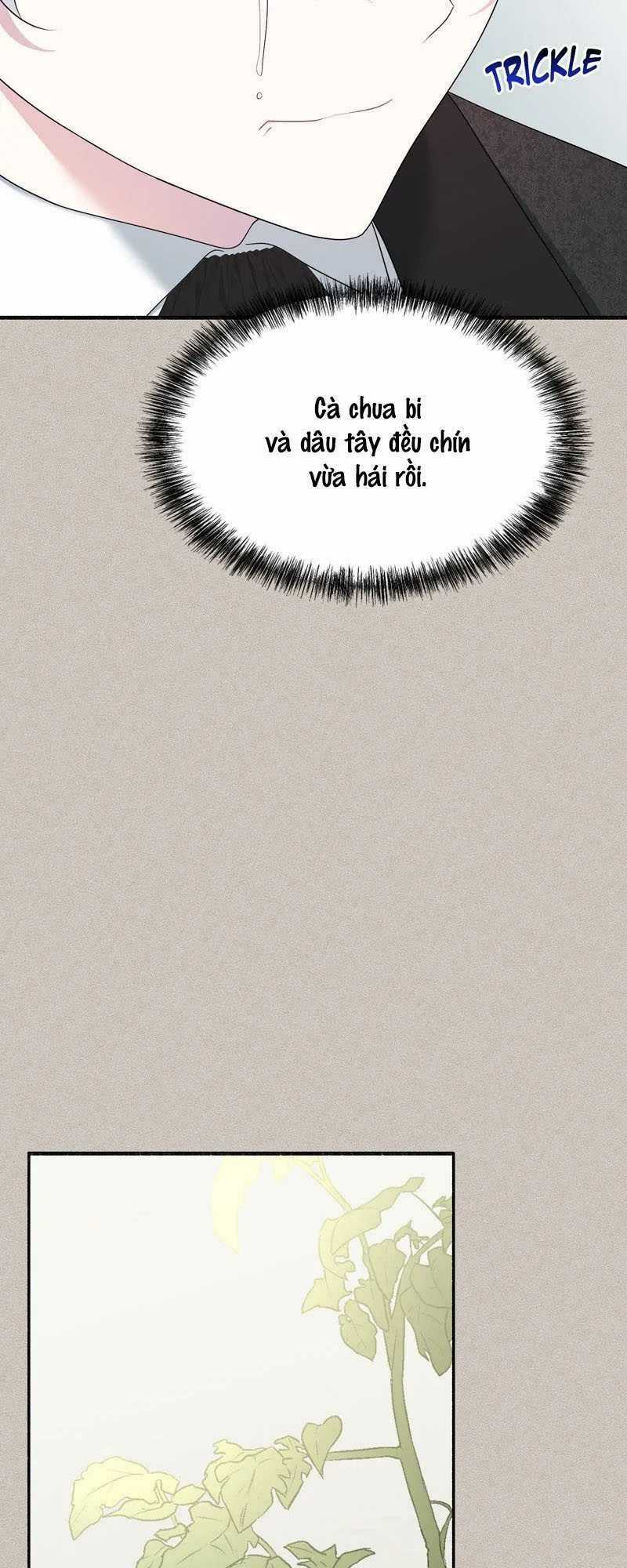 Người Chồng Thiên Thần Của Tôi Thật Ra Là Ác Quỷ Chapter 42.1 trang 33