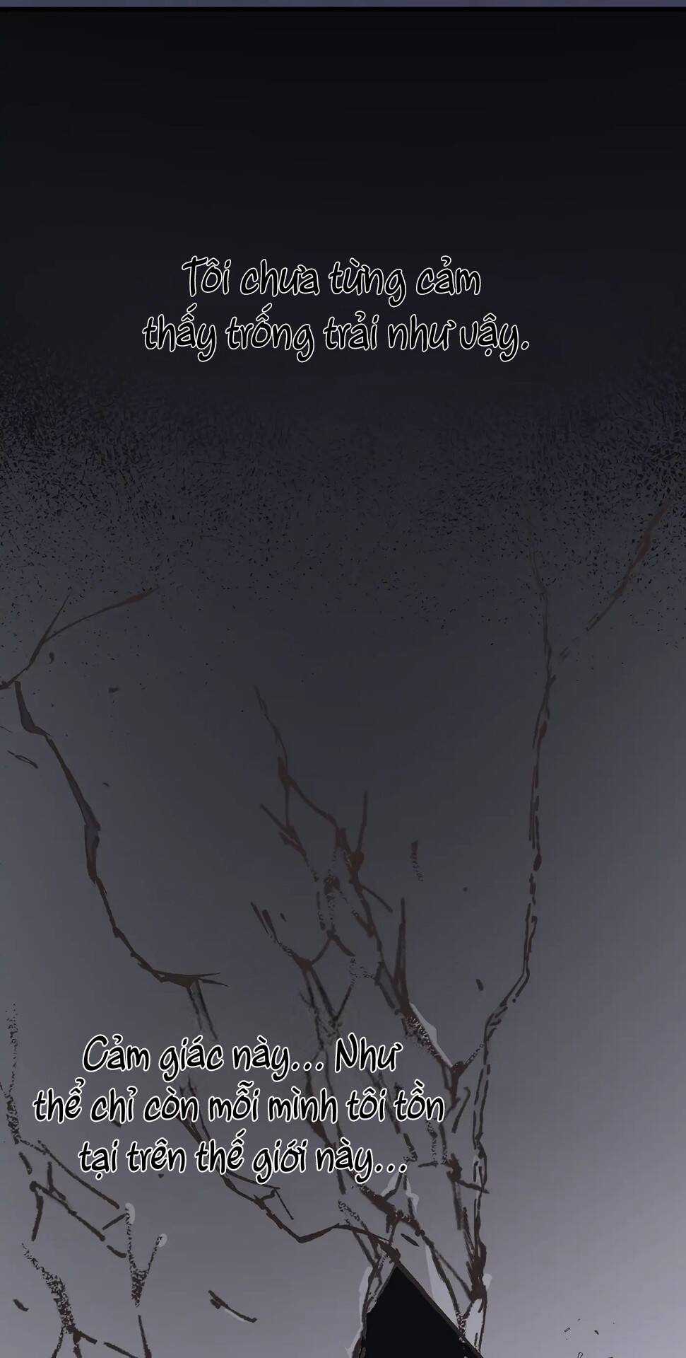 Người Chồng Thứ Hai Của Tôi Chapter 1 trang 95