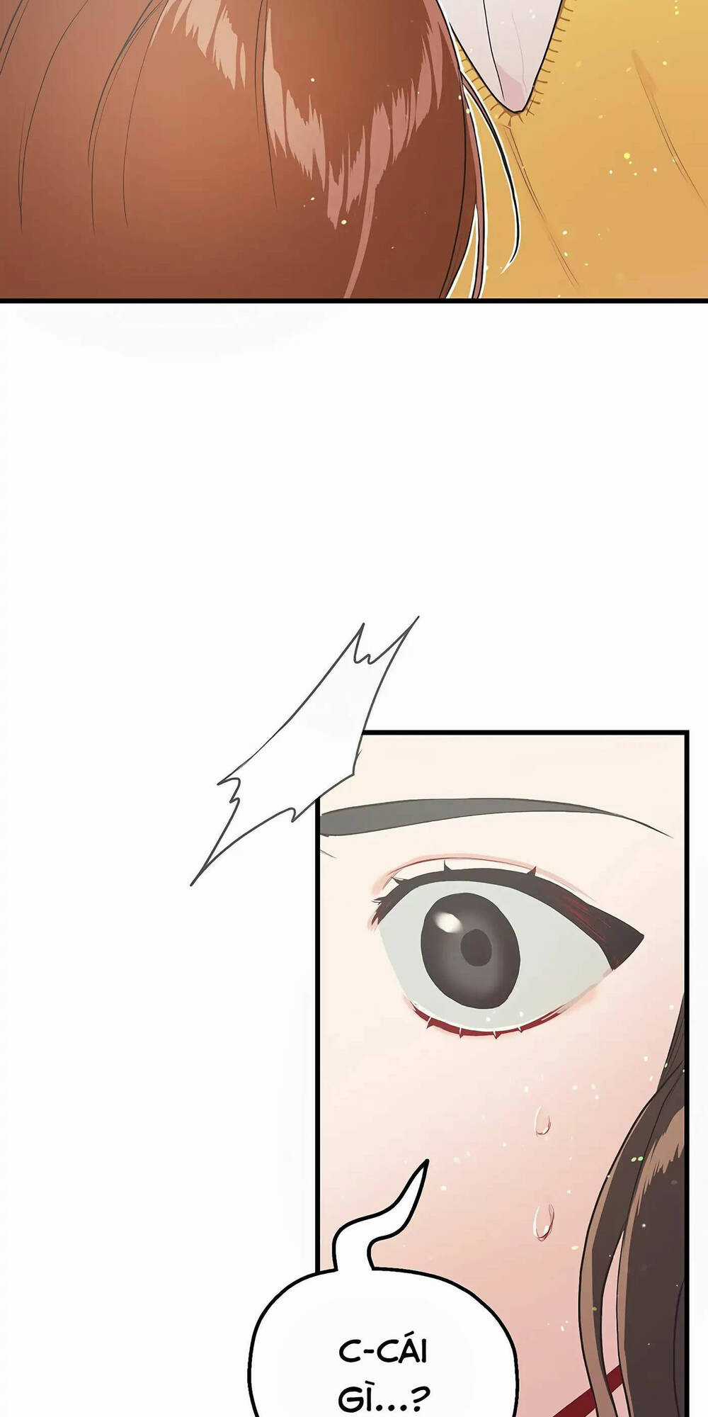 Người Chồng Thứ Hai Của Tôi Chapter 10 trang 11