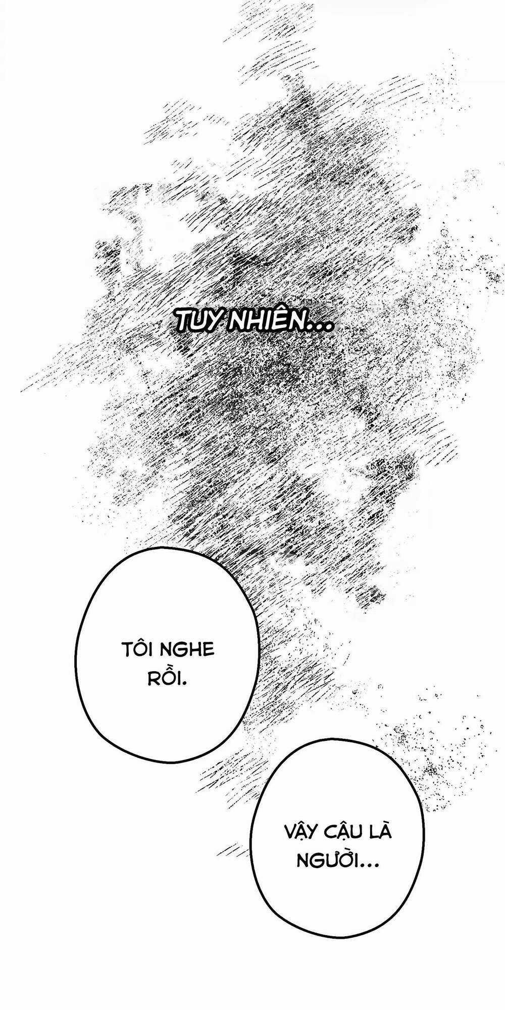 Người Chồng Thứ Hai Của Tôi Chapter 10 trang 17