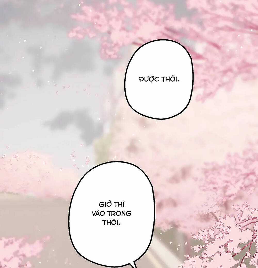 Người Chồng Thứ Hai Của Tôi Chapter 19 trang 35