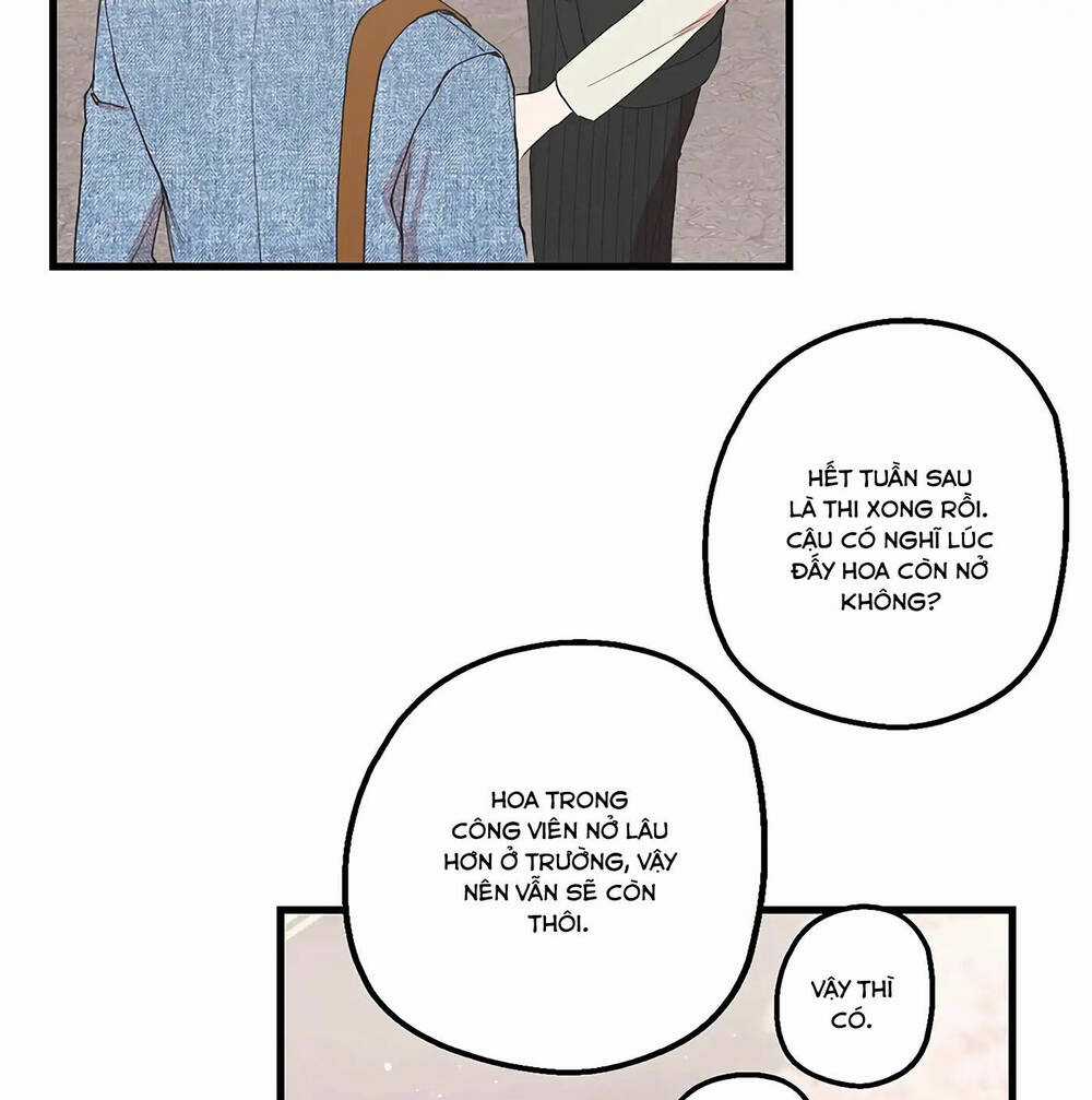 Người Chồng Thứ Hai Của Tôi Chapter 19 trang 70