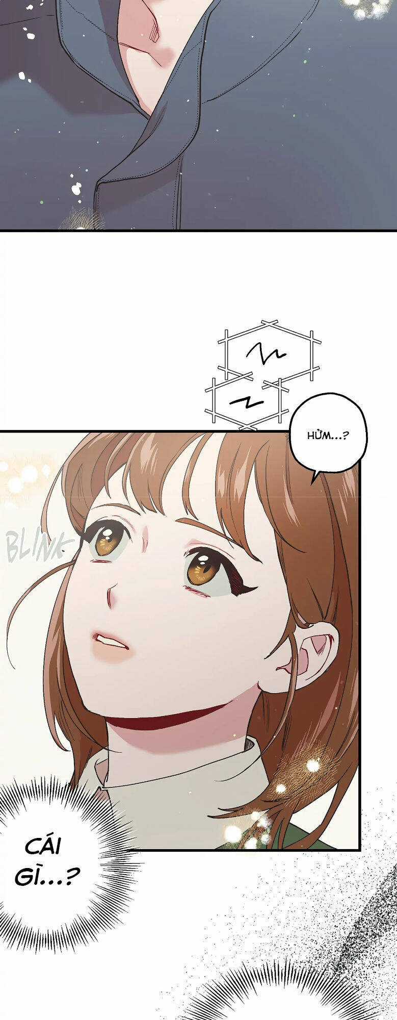 Người Chồng Thứ Hai Của Tôi Chapter 22 trang 21