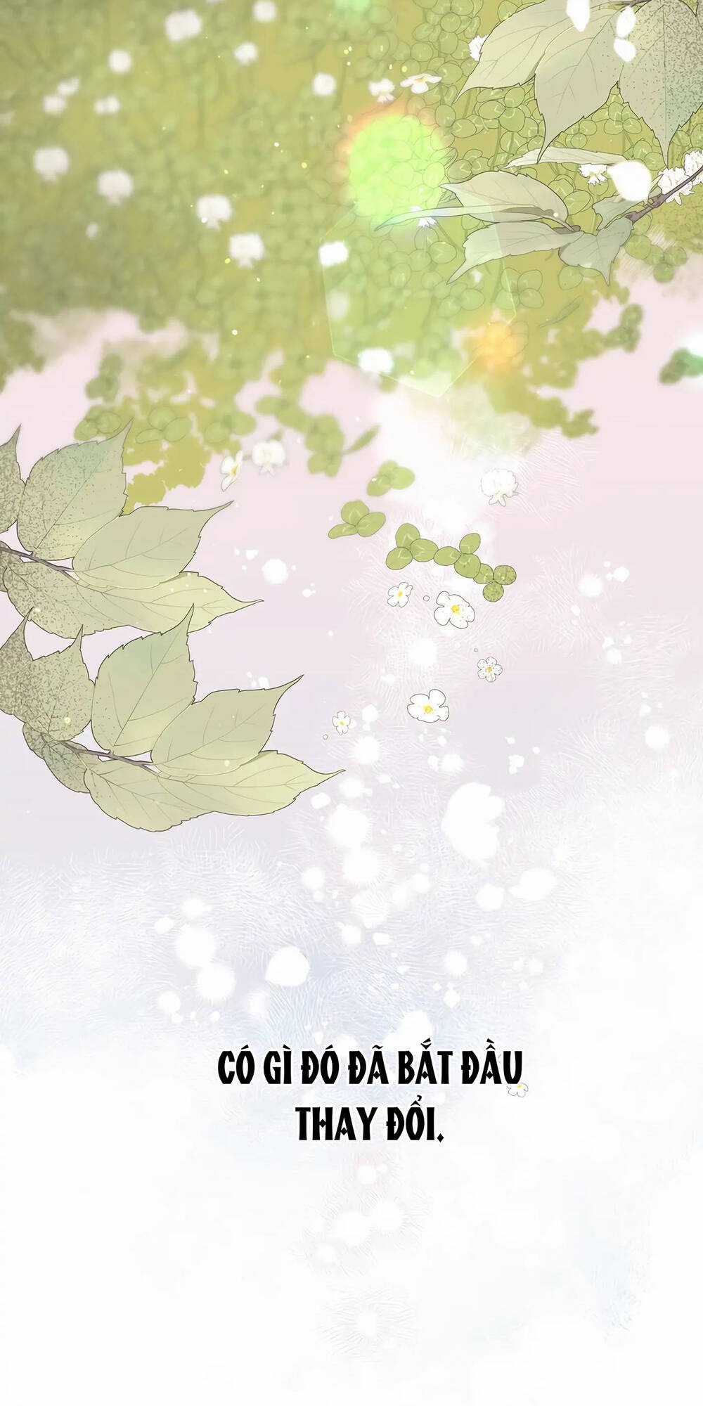 Người Chồng Thứ Hai Của Tôi Chapter 23 trang 50