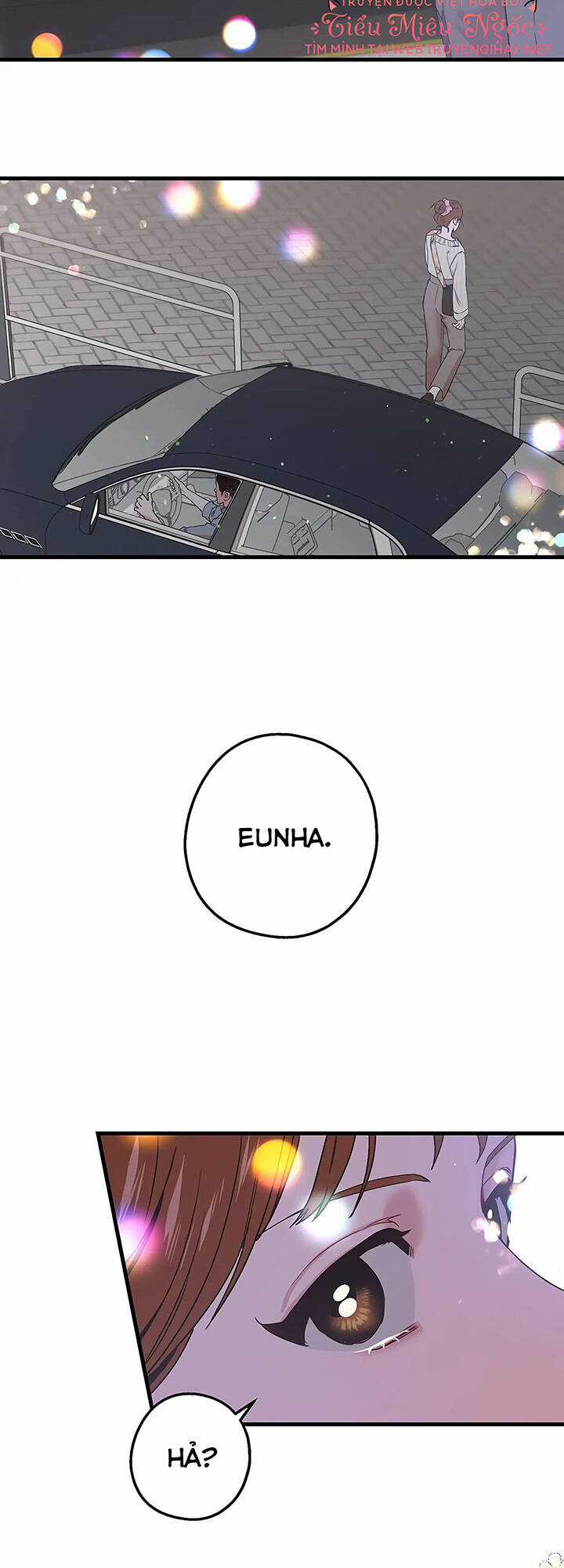 Người Chồng Thứ Hai Của Tôi Chapter 24 trang 8