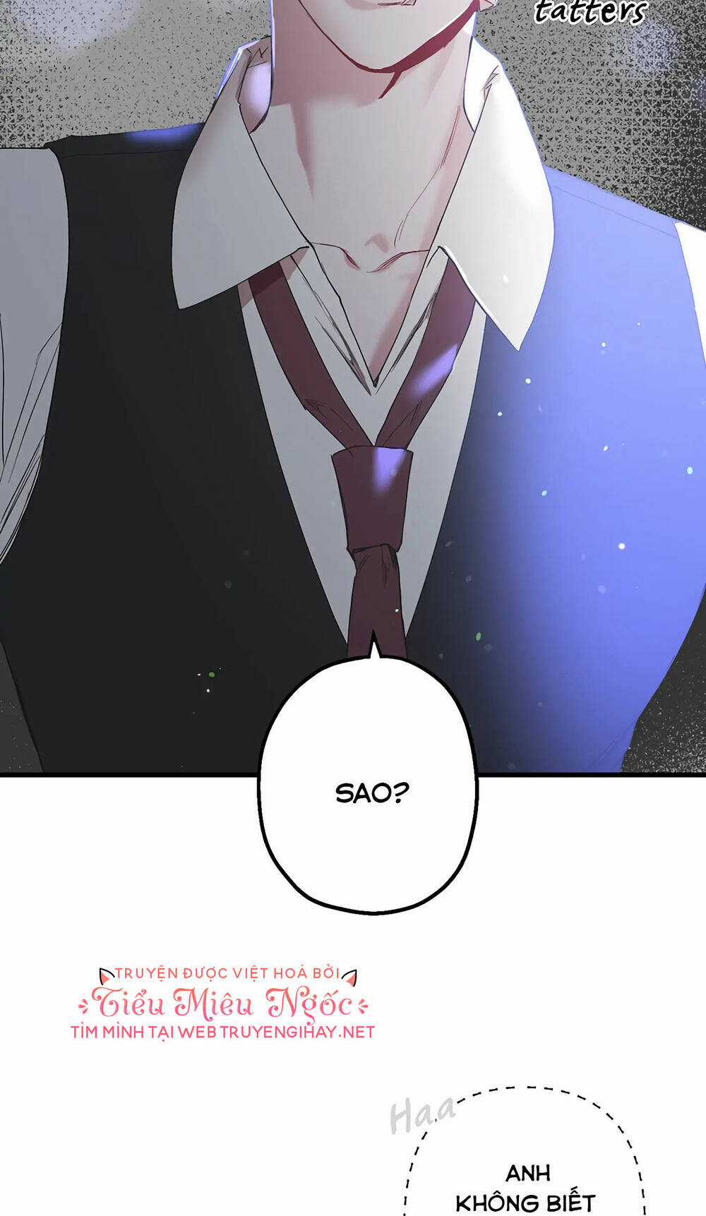 Người Chồng Thứ Hai Của Tôi Chapter 27 trang 29