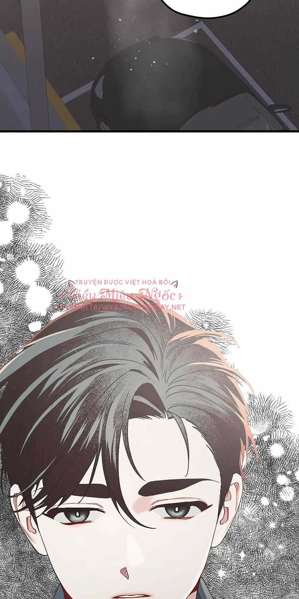 Người Chồng Thứ Hai Của Tôi Chapter 29 trang 11