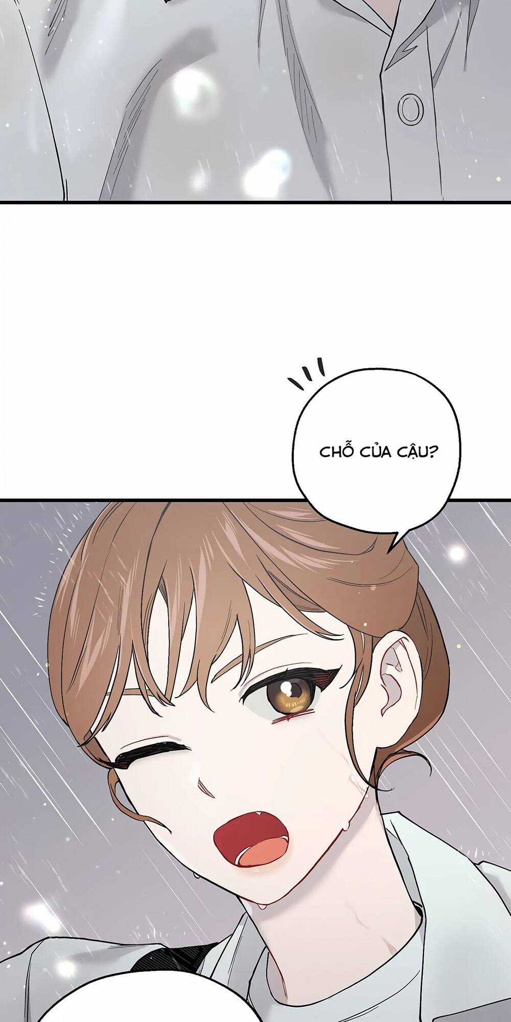 Người Chồng Thứ Hai Của Tôi Chapter 31 trang 66