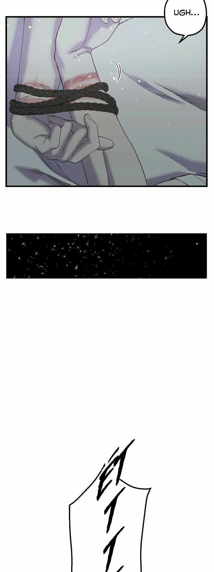 Người Chồng Thứ Hai Của Tôi Chapter 39.2 trang 10