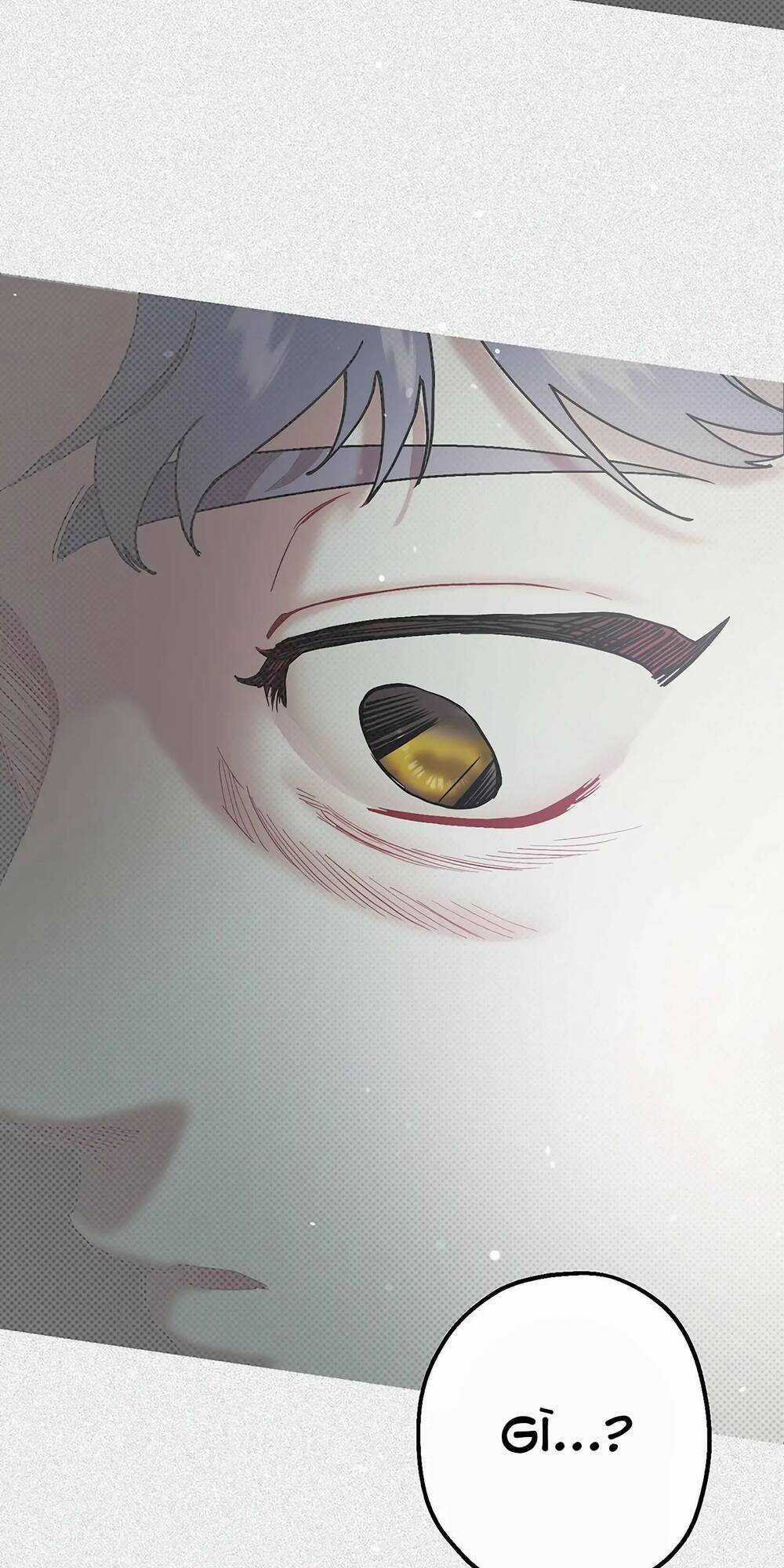 Người Chồng Thứ Hai Của Tôi Chapter 40.2 trang 51