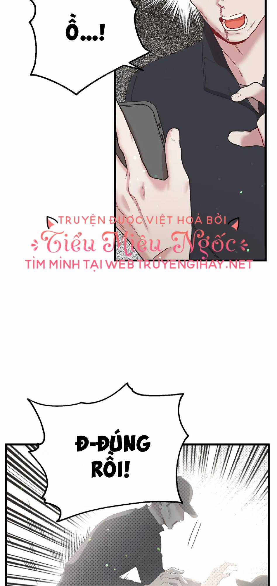 Người Chồng Thứ Hai Của Tôi Chapter 47.1 trang 14