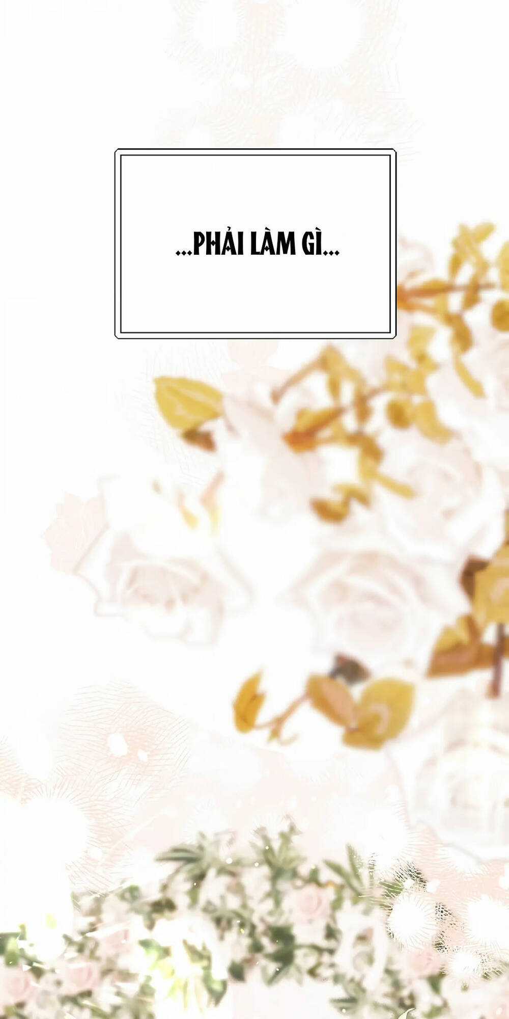 Người Chồng Thứ Hai Của Tôi Chapter 47.2 trang 46