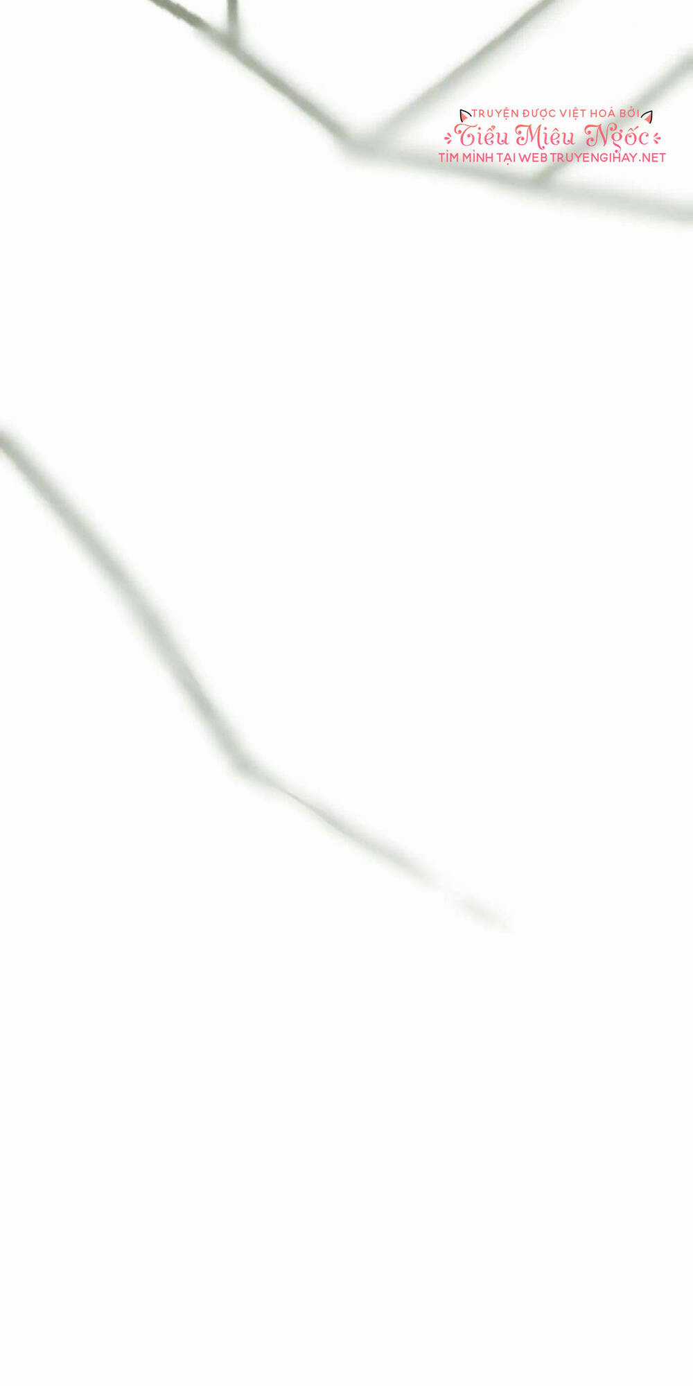 Người Chồng Thứ Hai Của Tôi Chapter 48.2 trang 53