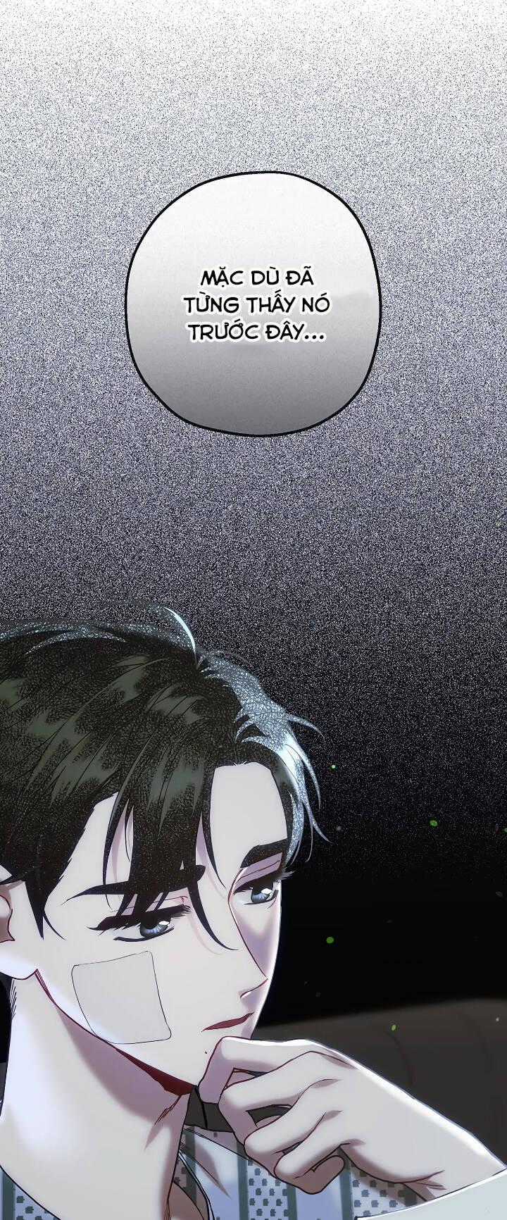 Người Chồng Thứ Hai Của Tôi Chapter 49.2 trang 41