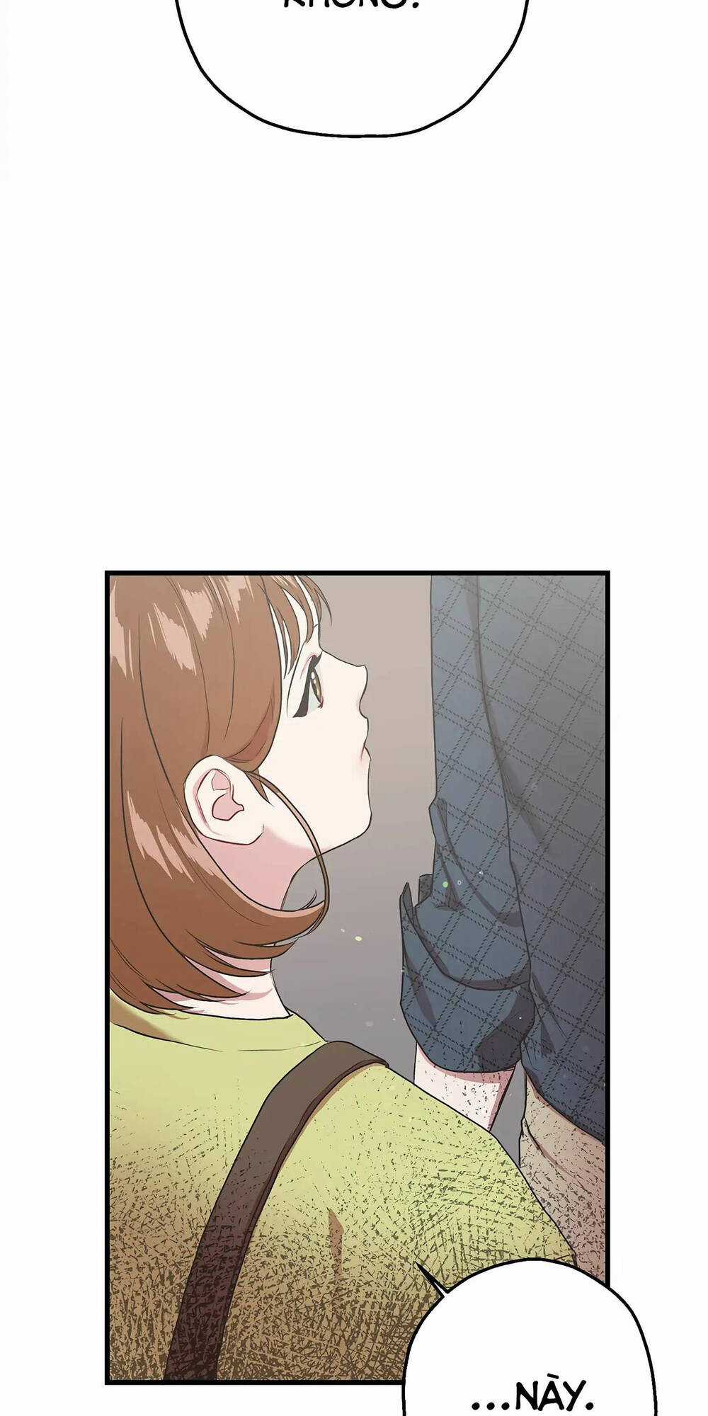 Người Chồng Thứ Hai Của Tôi Chapter 5 trang 21