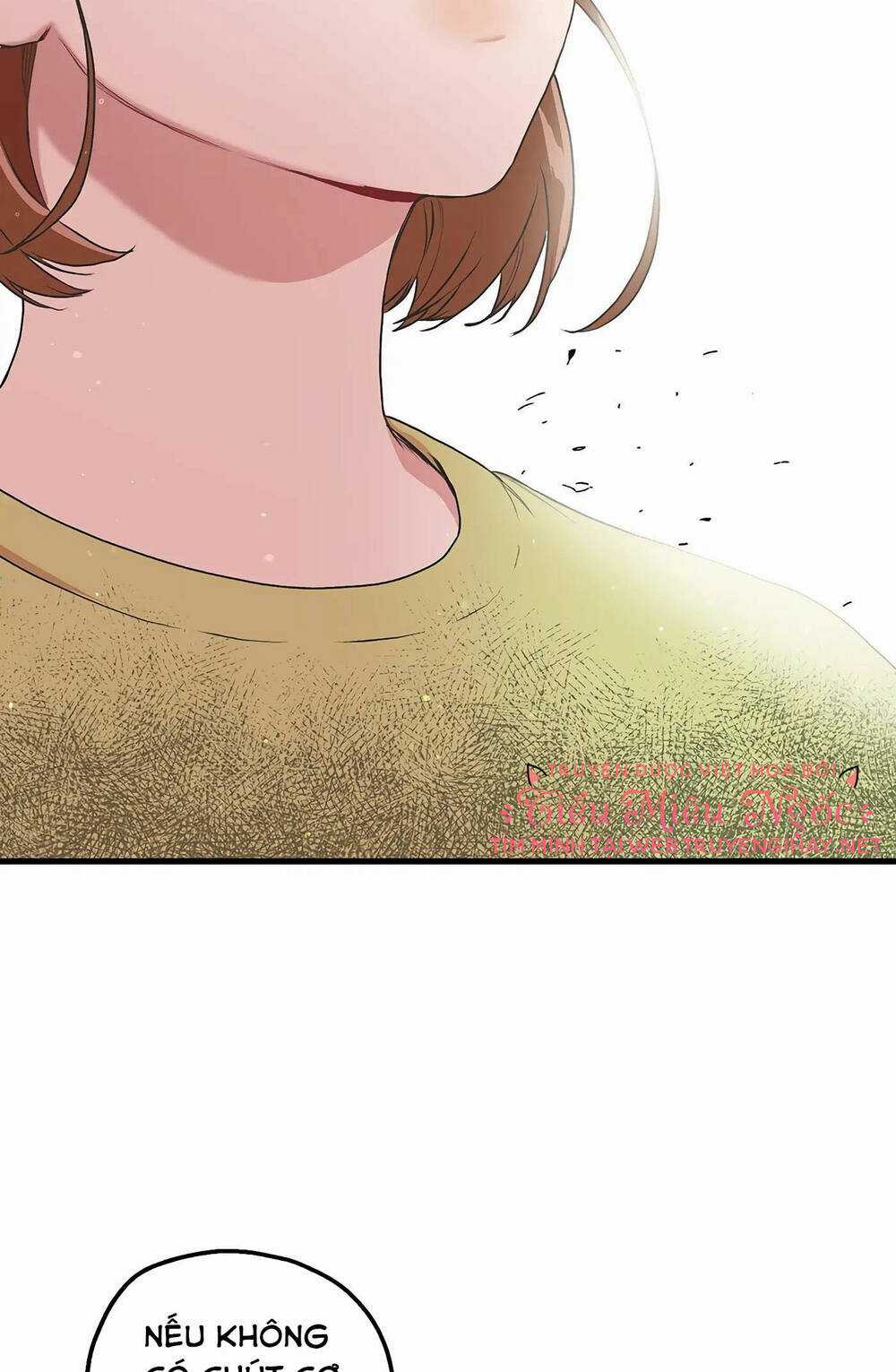 Người Chồng Thứ Hai Của Tôi Chapter 5 trang 30