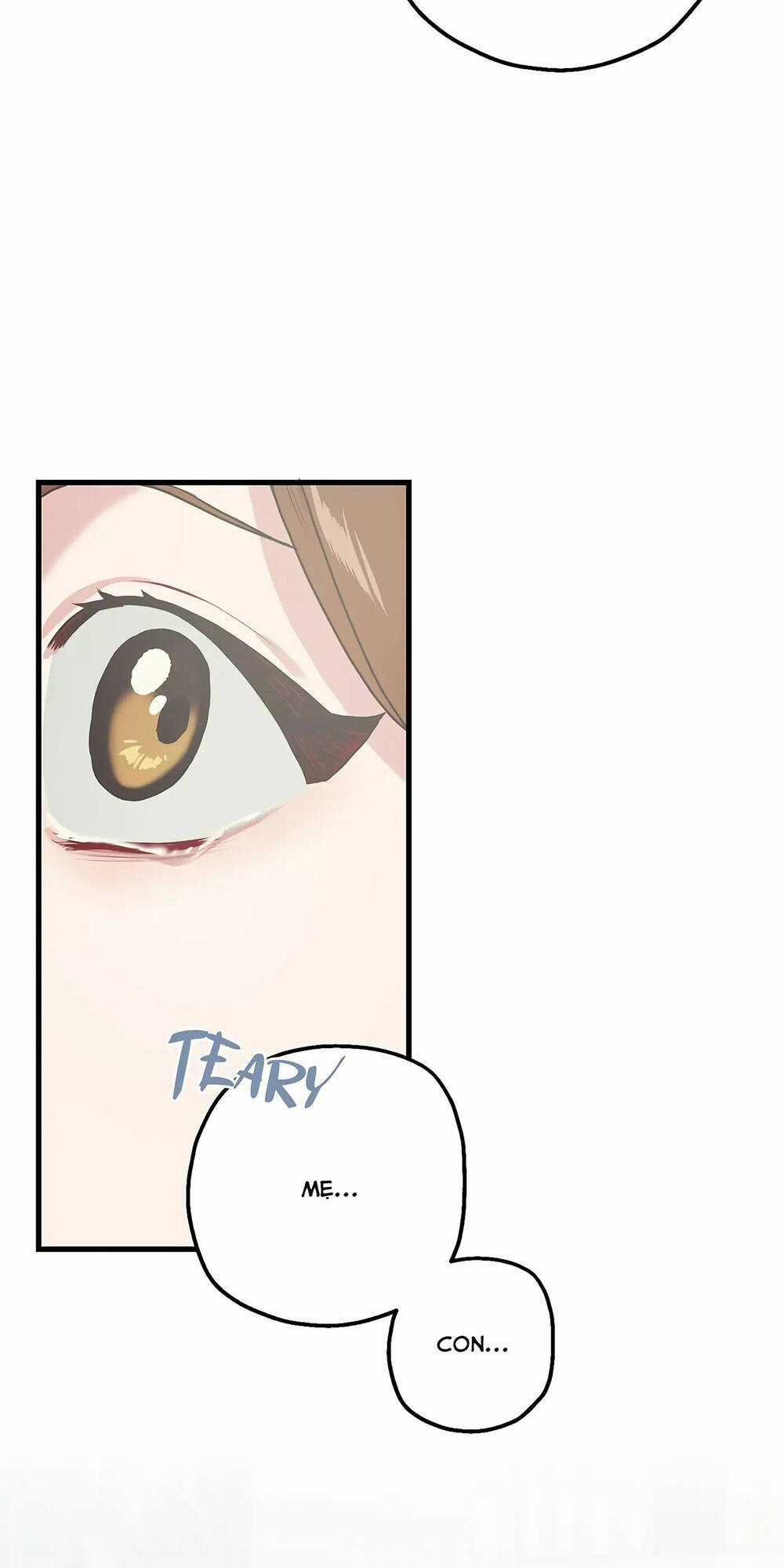 Người Chồng Thứ Hai Của Tôi Chapter 6 trang 5