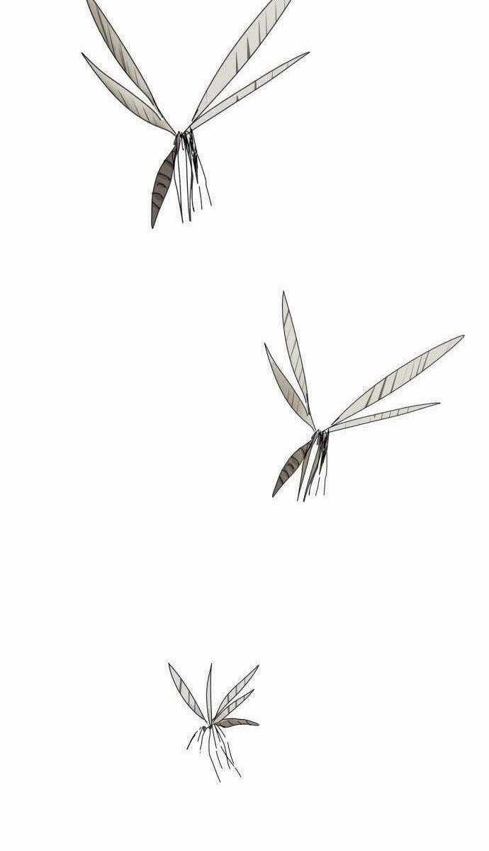 Người Côn Trùng Chapter 1 trang 19