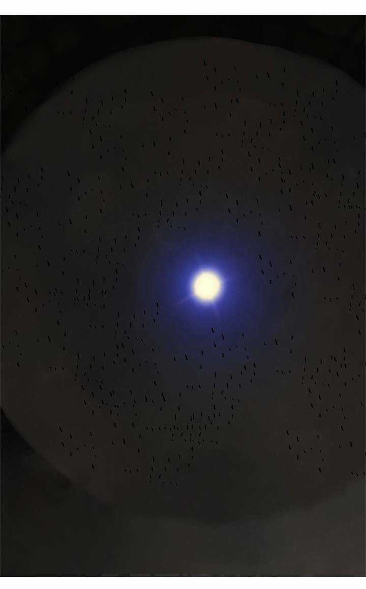 Người Cống Hiến Chapter 37 trang 30