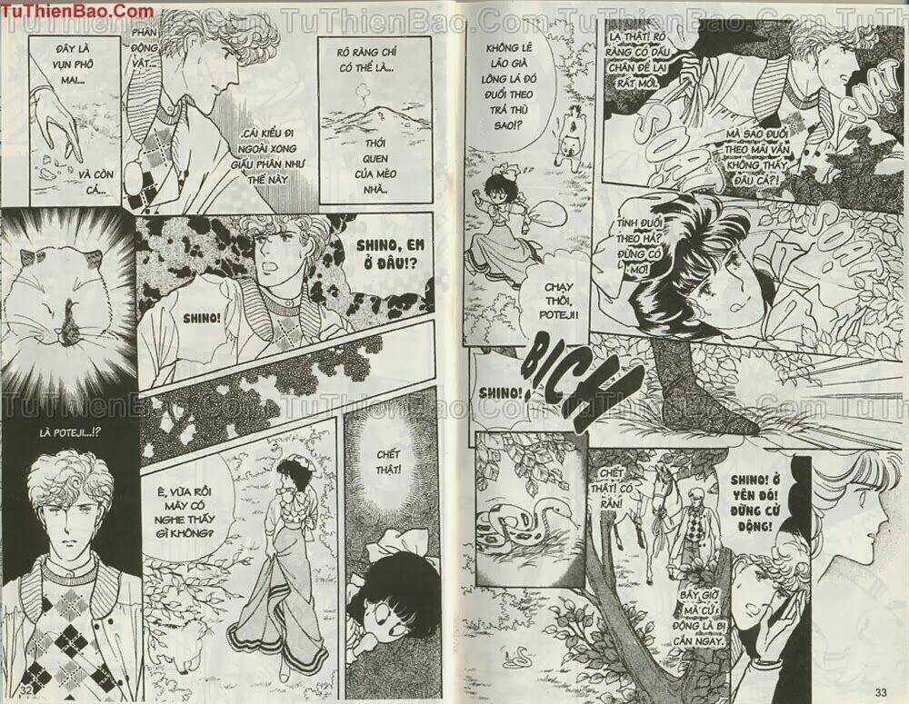 Người Đẹp New York Chapter 5 trang 16