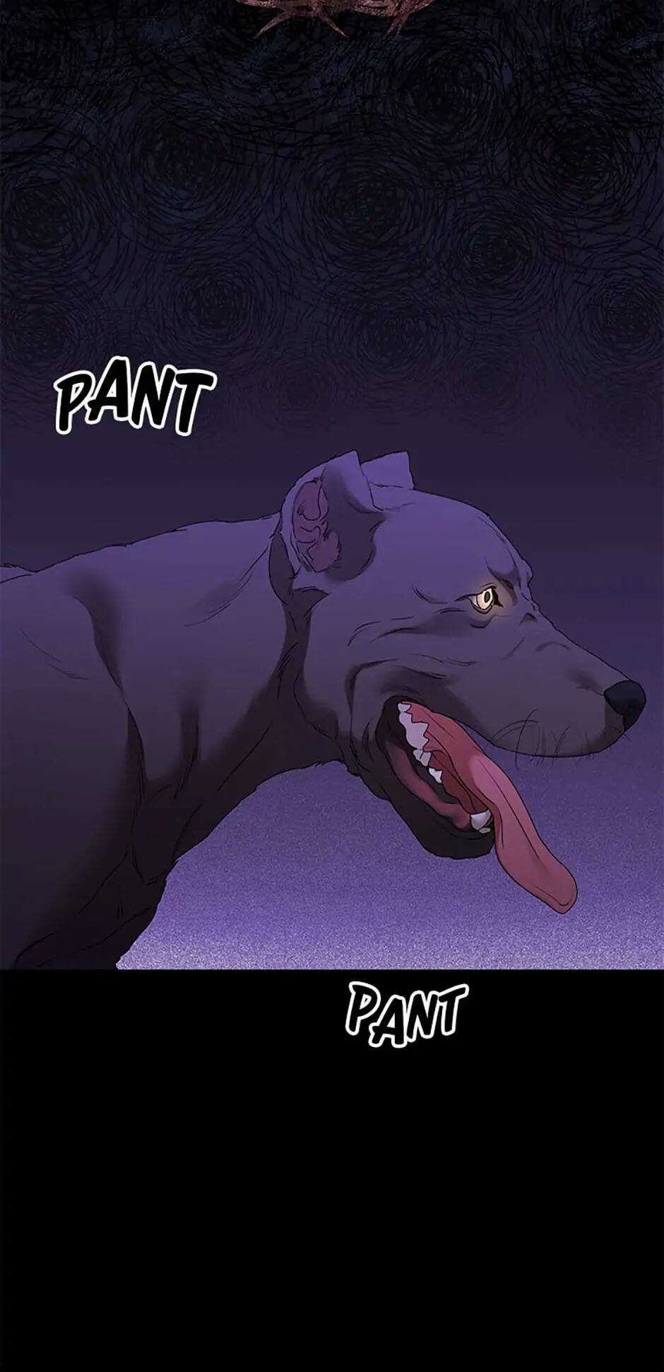 Người Không Mời Mà Đến Chapter 66 trang 17