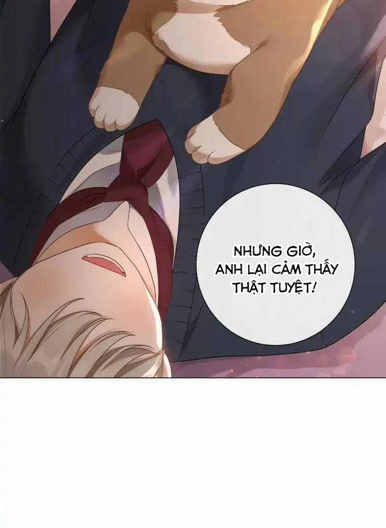 Người Không Mời Mà Đến Chapter 80 trang 46