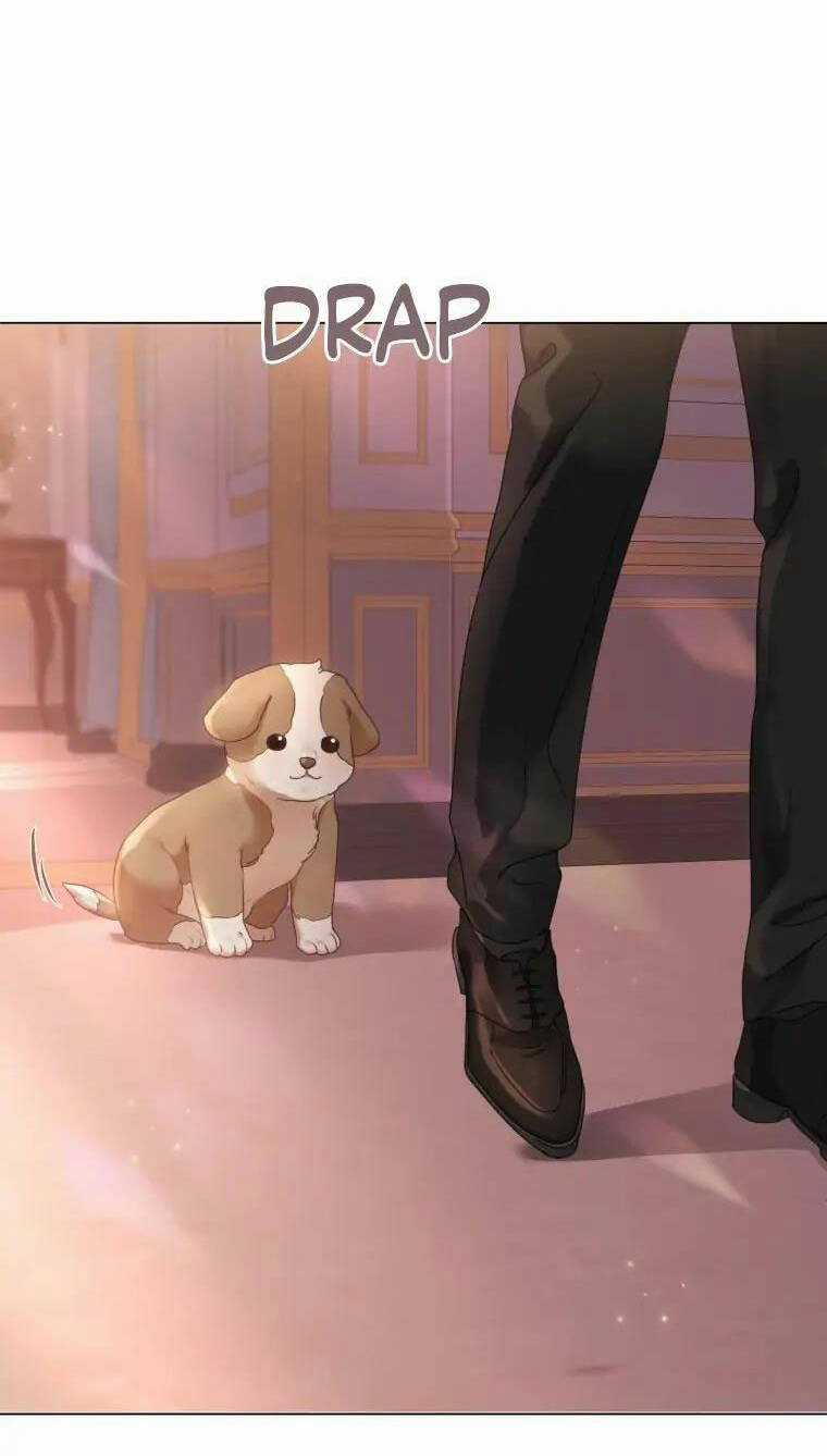Người Không Mời Mà Đến Chapter 80 trang 52
